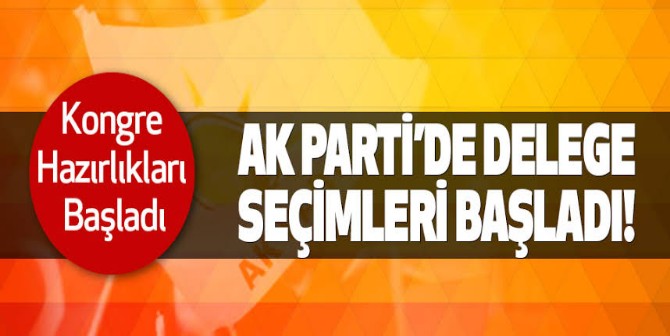 AK Parti Degelerini Seçiyor