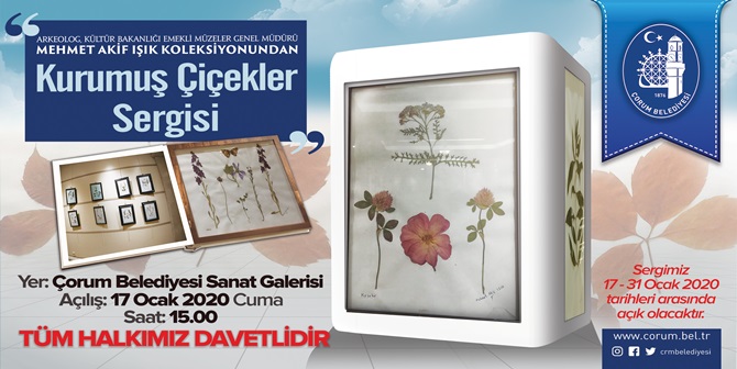 Belediyeden “Kurumuş Çiçekler” Sergisi