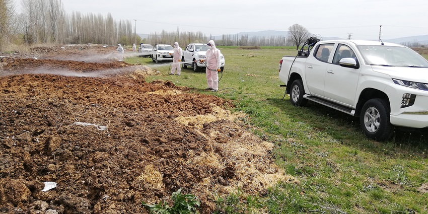 Karasinek ve Sivrisineklere Göz Açtırılmıyor