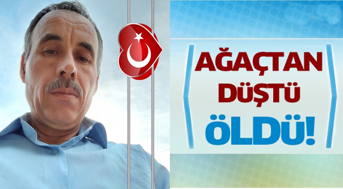 Ağaçtan Düşerek, Hayatını Kaybetti