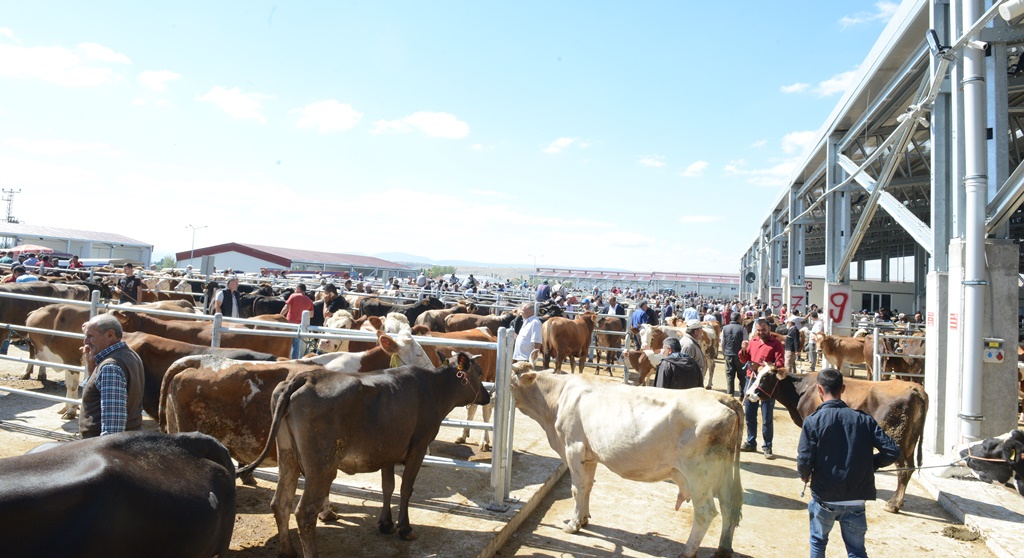 Belediyeden Kurban Bayramı Tedbirleri