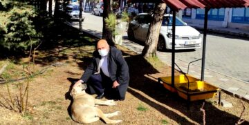 Bayat Belediyesi Sokak Hayvanlarını Unutmadı