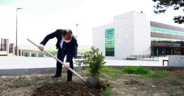 Sağlık Çalışanları Anısına Fidan