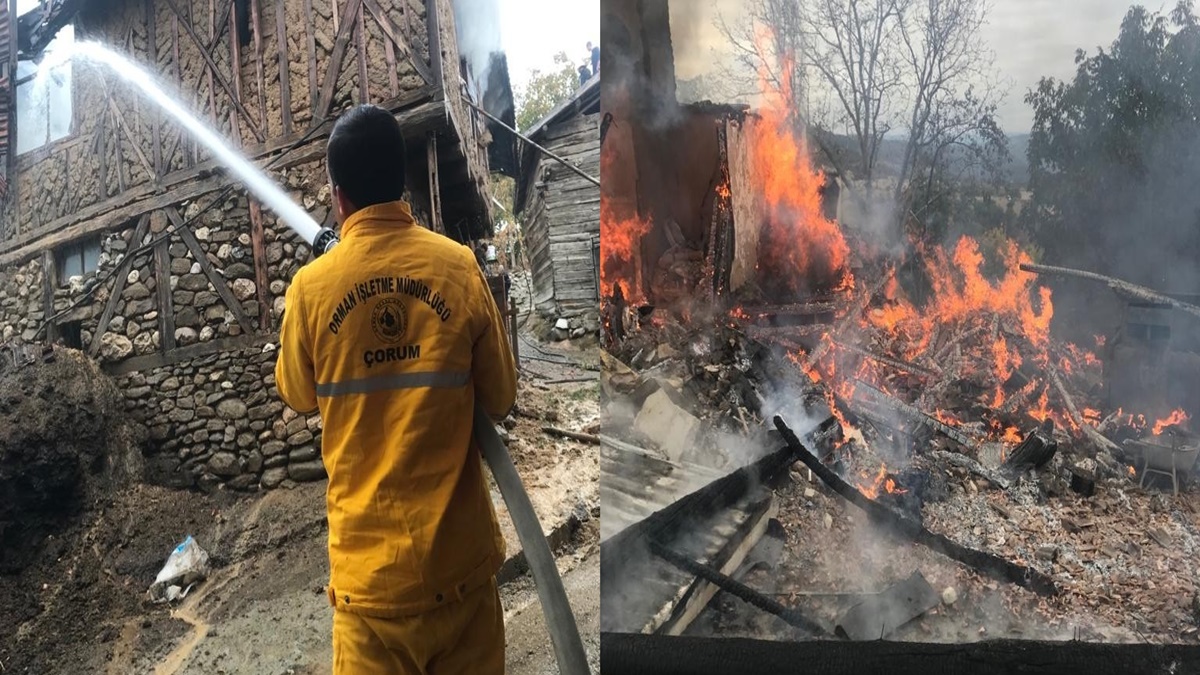 Alevlere Teslim Olan İki Köy Evi Küle Döndü