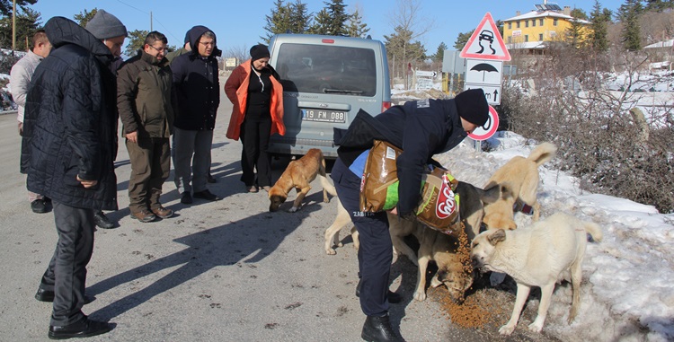 İskilip’te Doğaya Yem Bırakıldı