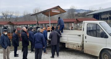 Dodurga Belediyesi, Kamelya Üretimini Kendisi Yapıyor