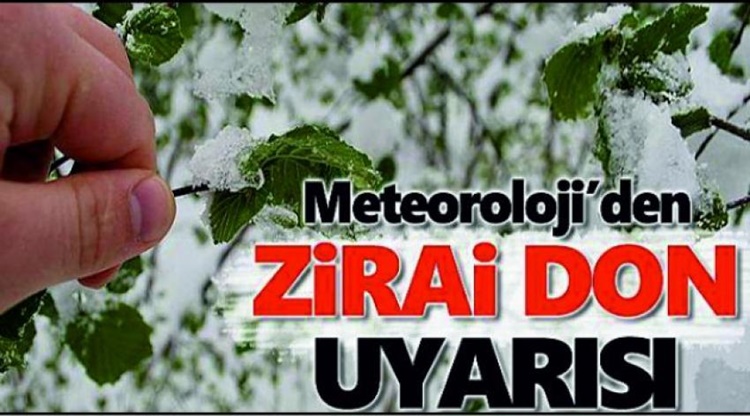 Meteorolojiden Zirai Don Uyarısı!