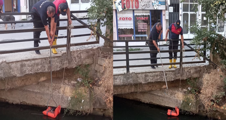 Sulama Kanalına Düşen Yavru Kedi Kurtarıldı