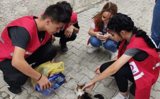 Genç Kızılay Sokak Hayvanlarını Unutmadı