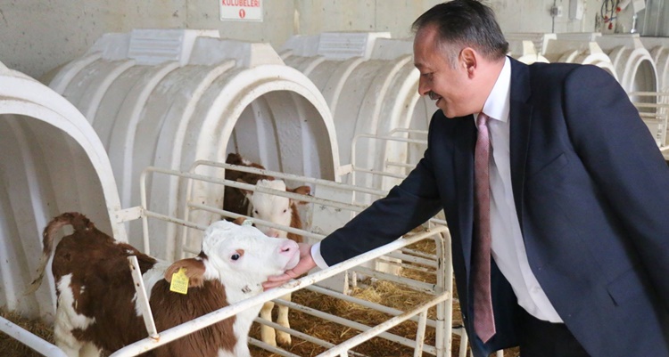 “Çorum’u Hayvancılıkta Merkez Yapmak İstiyoruz”