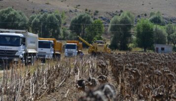 Belediye Yağlık Ayçiçeği Hasadına Başladı