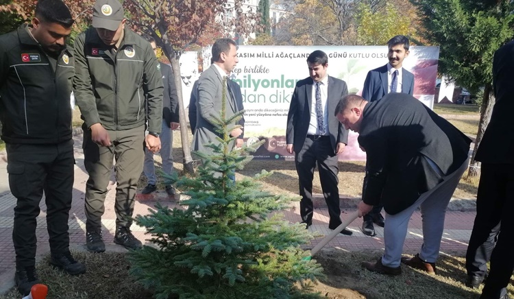 Kargı’da Bin Fidan Toprakla Buluştu