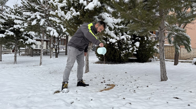 Çorum Belediyesi Doğadaki Canlıları Unutmuyor